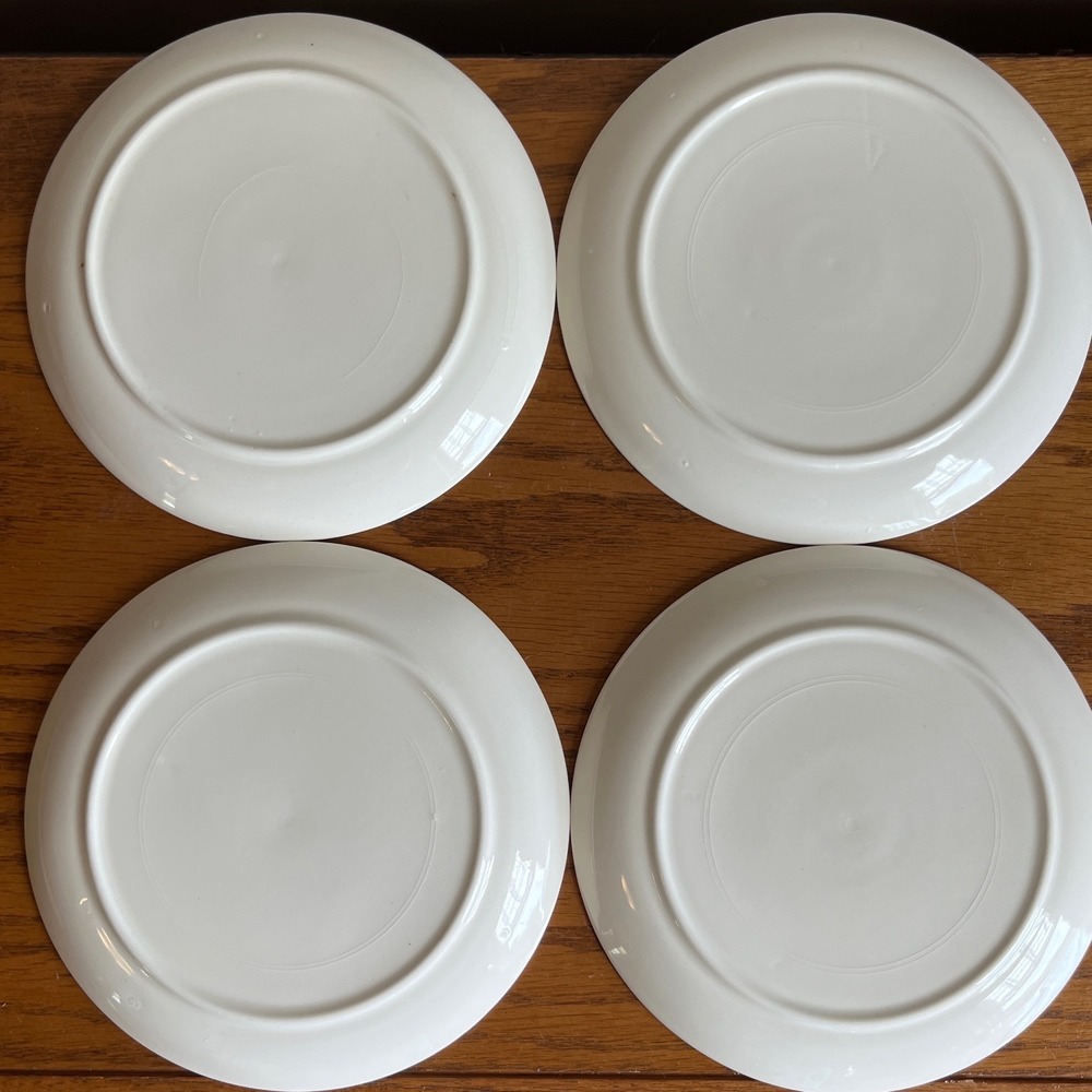 Vintage MCM Salem by Calico Salad Dessert Plates 6.25" Black Red Floral Cottage - Picture 12 of 13